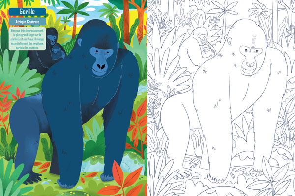  Mon cahier de coloriage : La jungle