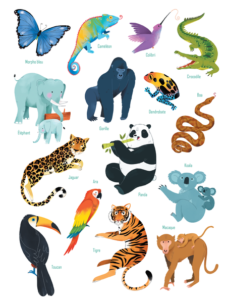  Mon cahier de coloriage : La jungle