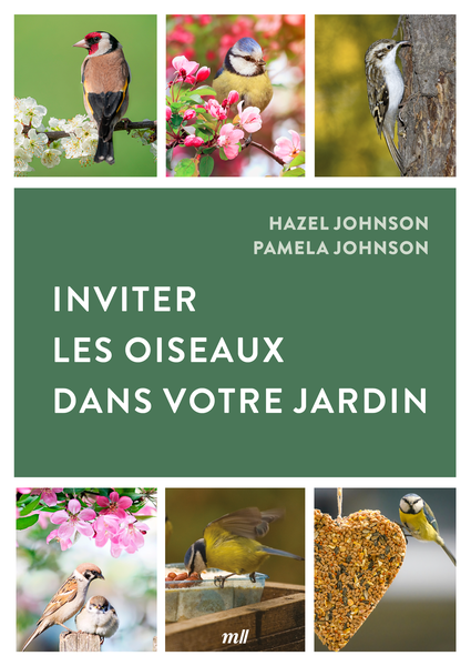 Invitez les oiseaux dans votre jardin