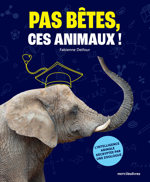 Pas bêtes, ces animaux !