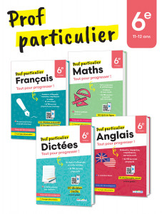 Lot Prof particulier - 6e (4 titres)