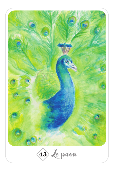 Place des enseignants : L'Oracle de la Voie des animaux - Reconnexion à la  nature (jeu de cartes divinatoires) - Jenny Rys - 9782383553335