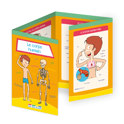 L'école en poche - Le corps humain 