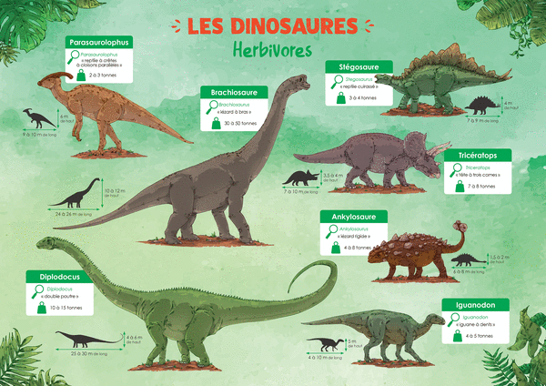  Les Posters de l'école - Les dinosaures