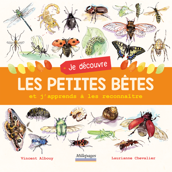 Je découvre les petites bêtes