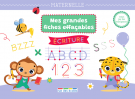 Mes grandes fiches d'entraînement effaçables - Écriture - Maternelle