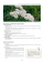 Mon grand guide des plantes médicinales