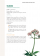Le Petit Guide des plantes qui soignent