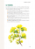 Le Petit Guide des plantes qui soignent