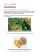 Annales Brevet - Maths-Sciences - 3e - 2026
