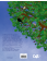 Moi, l'arbre