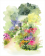 Fleurs et Merveilles à l'aquarelle (coffret)