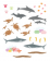 700 gommettes des animaux du monde