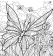 Papillons vagabonds - Coloriages pour me détendre