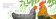 Poule Plumette