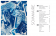 Cyanotype - Techniques et créations simples et poétiques