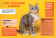 Les Chats - Mille et un docs