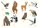 Points à relier - Animaux malicieux