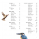Le guide amoureux des oiseaux du jardin et des grands espaces